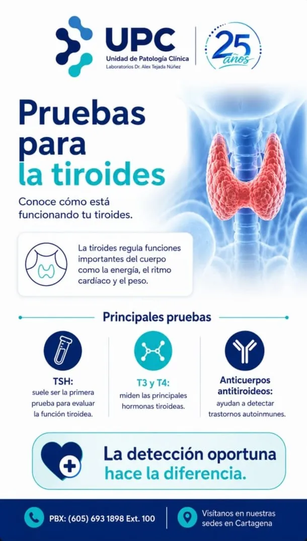 Información destacada UPC